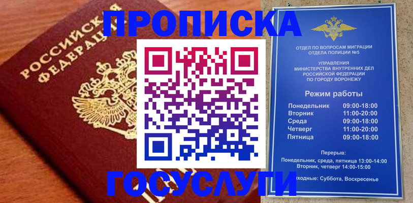 прописка для школы в Камчатской области